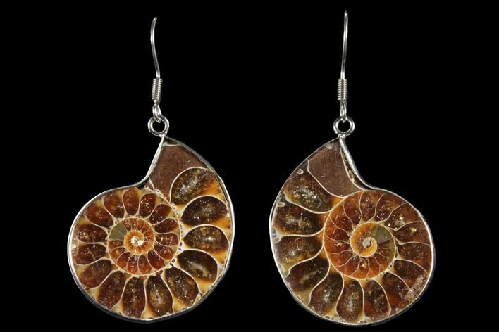 Fossil Ammonite Earrings - Million Years Old #112224